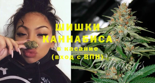 сатива Алексин