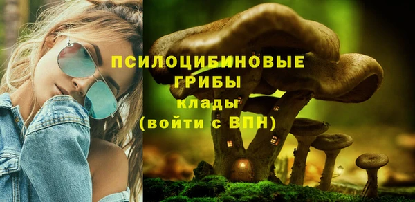 сатива Алексин