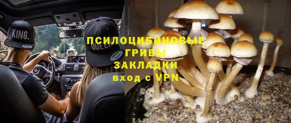 сатива Алексин
