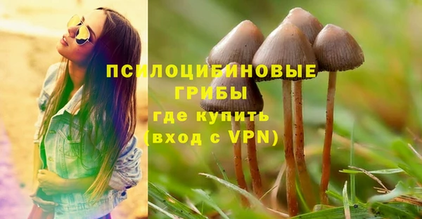винт Алзамай