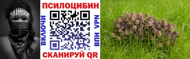 цена   Куртамыш  сайты даркнета официальный сайт  Псилоцибиновые грибы Psilocybe  kraken рабочий сайт 