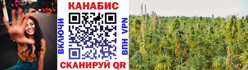 Конопля White Widow  мега зеркало  Куртамыш 